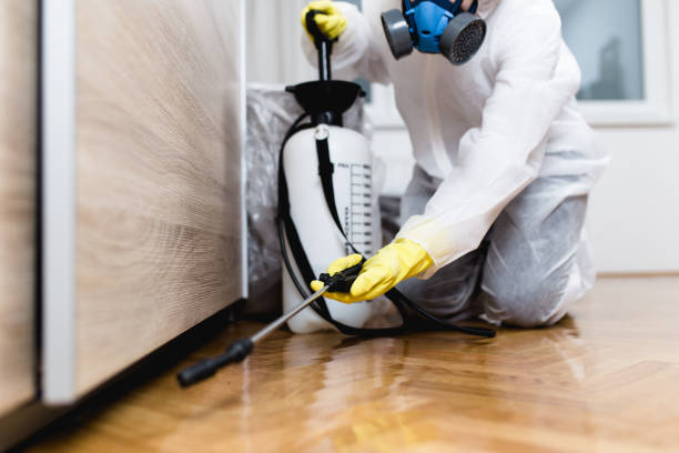 Best Wasp Removal Services  in Joanna, SC