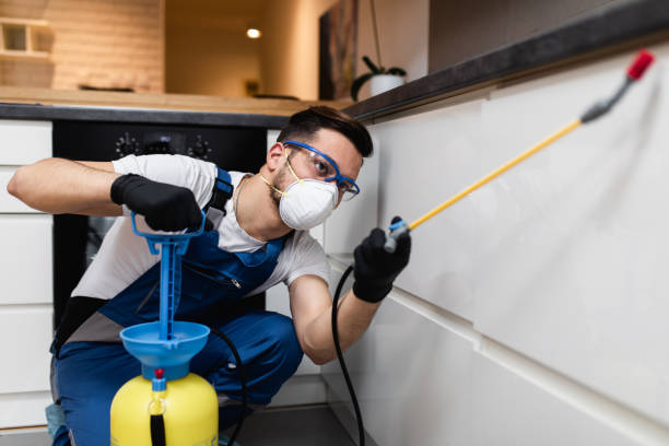 Best Exterminator Services  in Joanna, SC