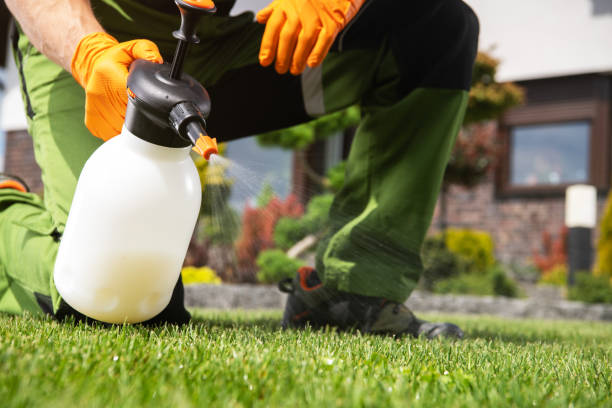 Best Wasp Removal Services  in Joanna, SC