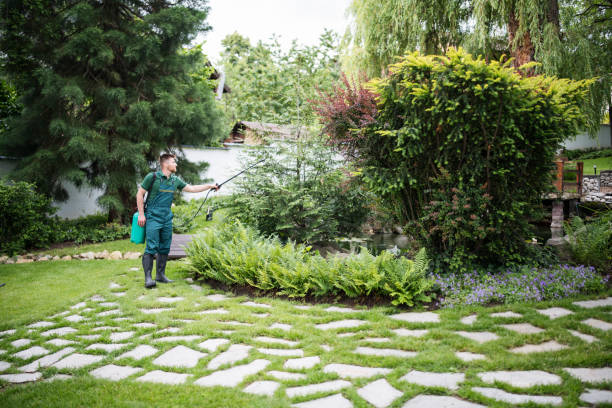 Best Best Pest Control Companies  in Joanna, SC
