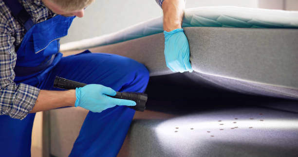 Wasp Removal Services in Joanna, SC