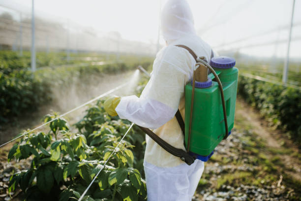 Best Bed Bug Extermination  in Joanna, SC